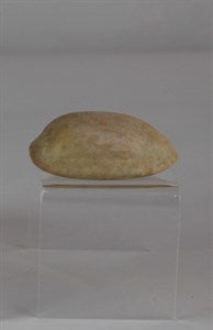 Image description is not available for FIM2015.529.9